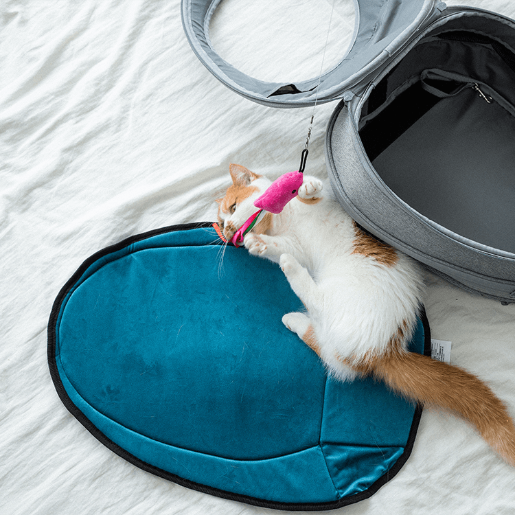 EGGYリュック型猫ハウス交換用備品 (インナーマット) - Cモール EGGYリュック型猫ハウス交換用備品 (インナーマット) - Cモール