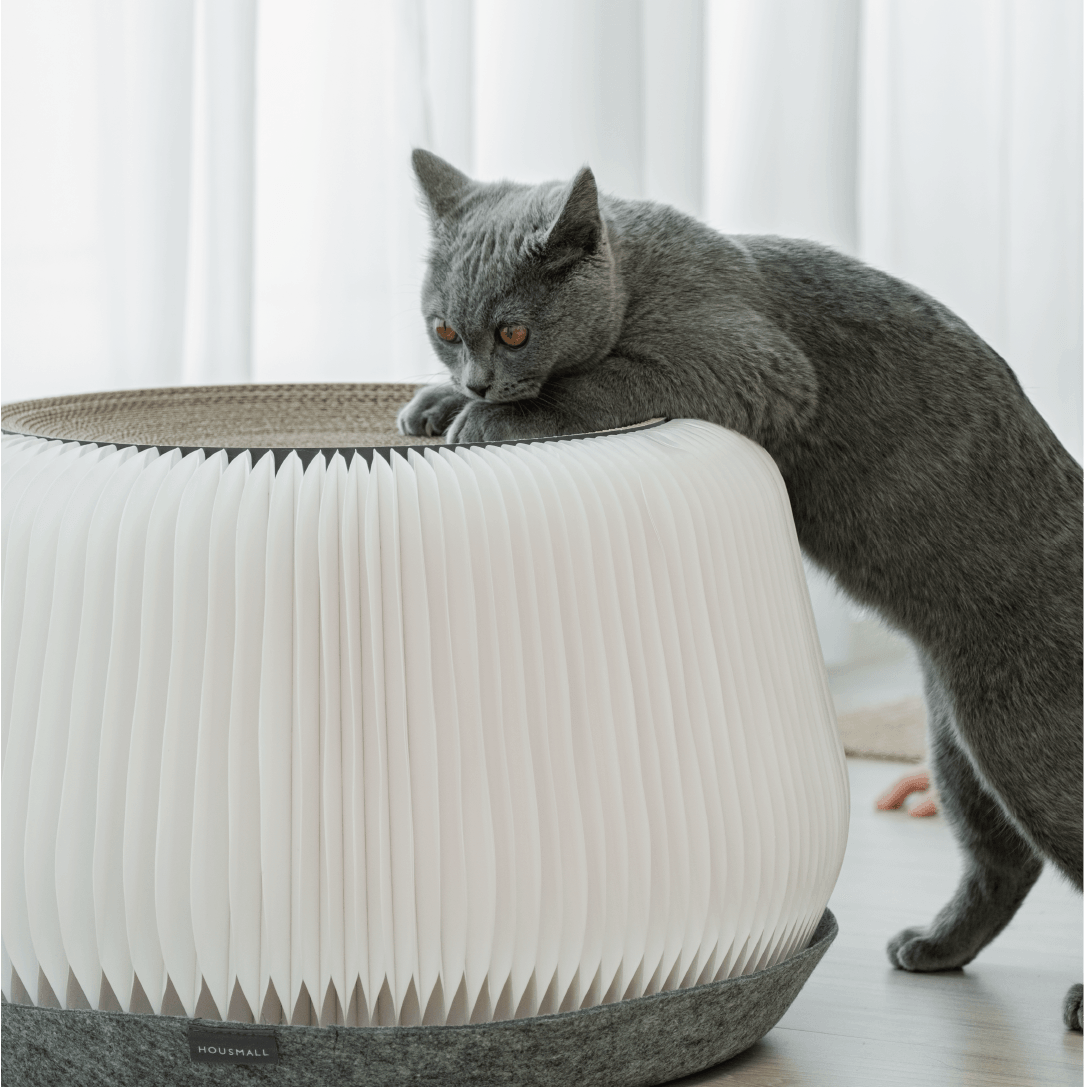 POUF 猫爪とぎスツール - Cモール